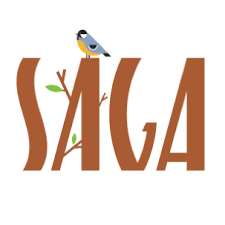 saga