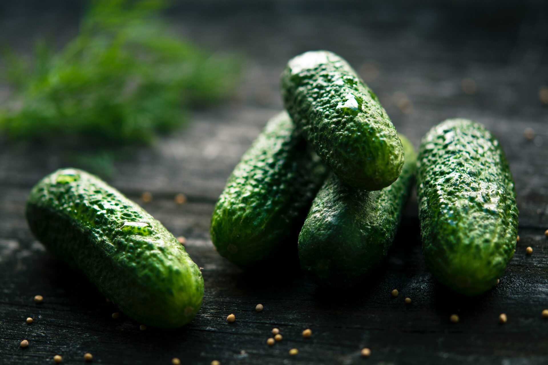 jonathan-pielmayer-5OExikUBy0U-unsplash